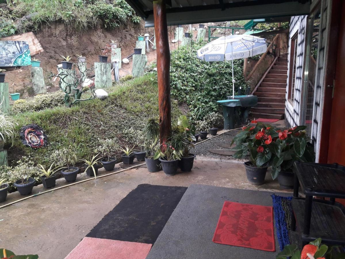 Ohiya Jungle Resort Exteriér fotografie