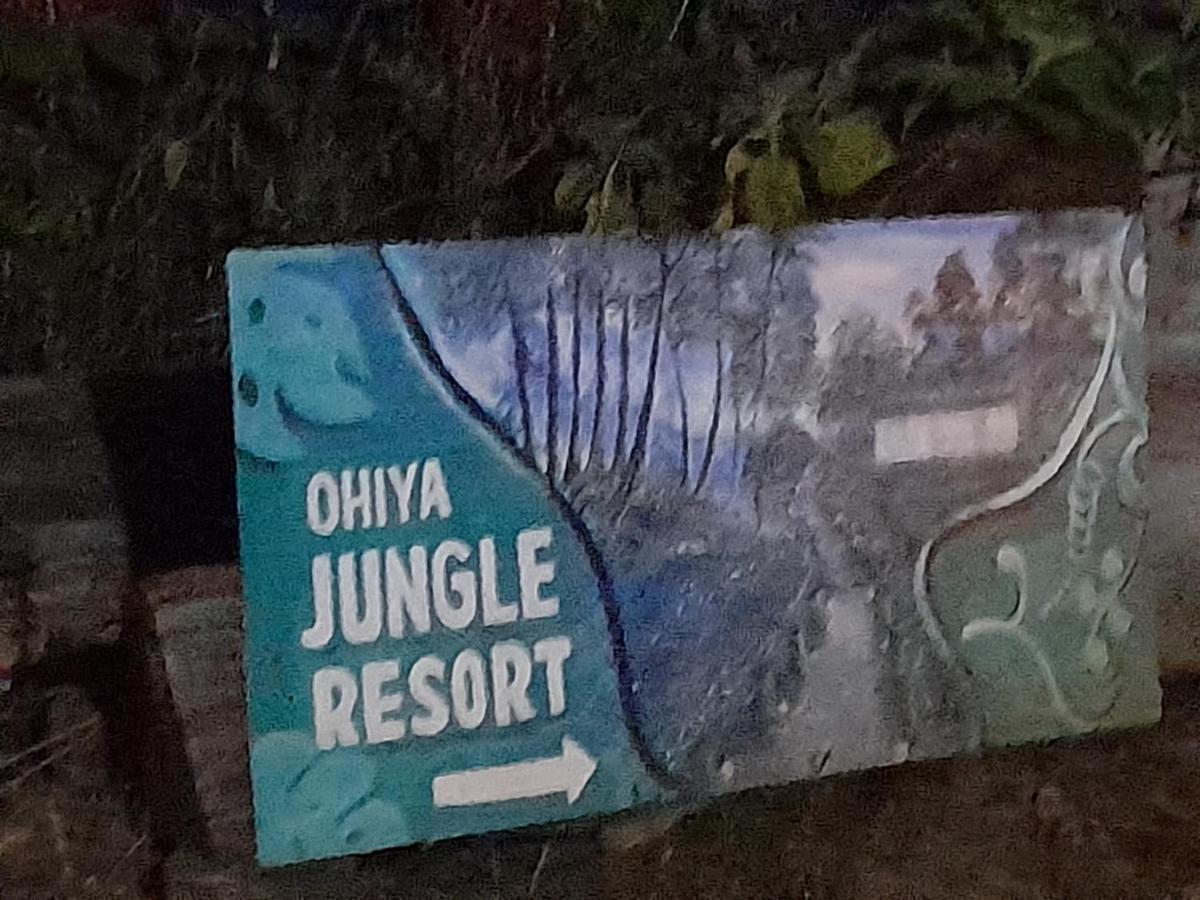 Ohiya Jungle Resort Exteriér fotografie