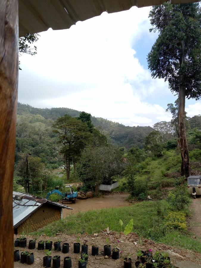 Ohiya Jungle Resort Exteriér fotografie