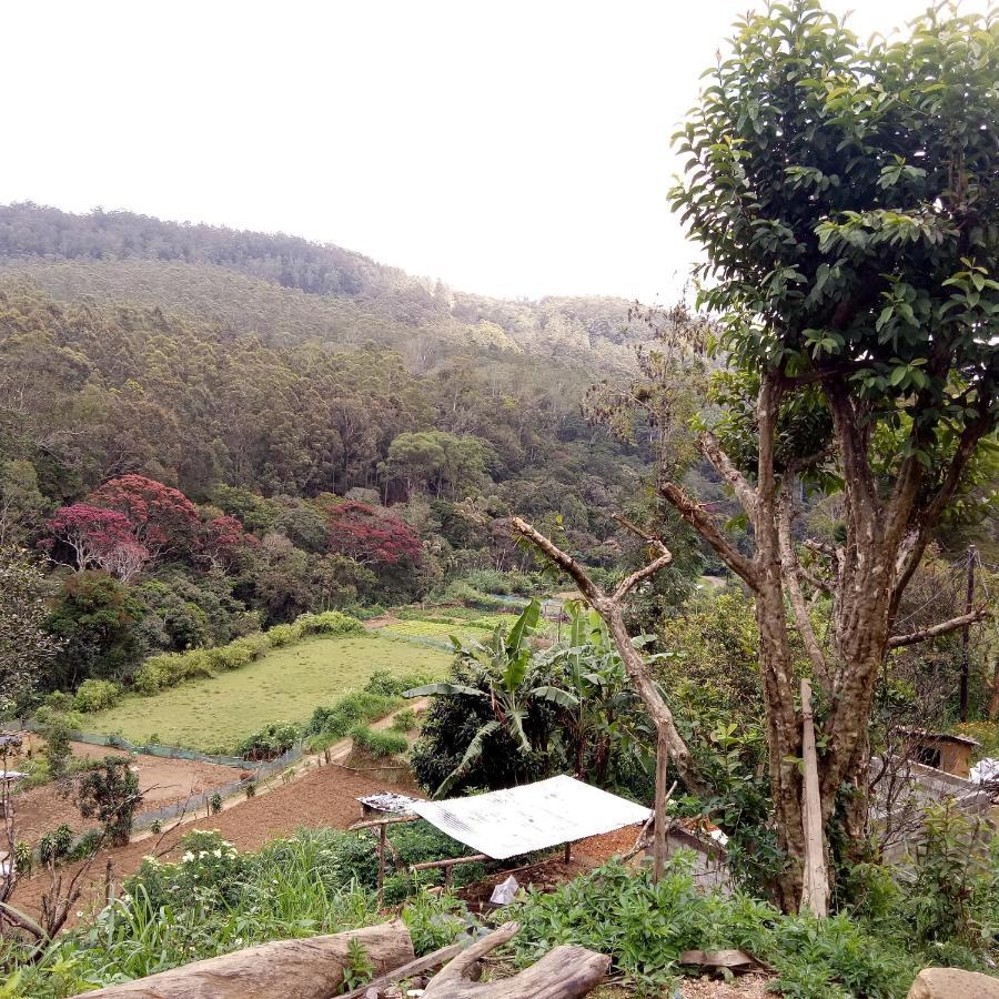 Ohiya Jungle Resort Exteriér fotografie